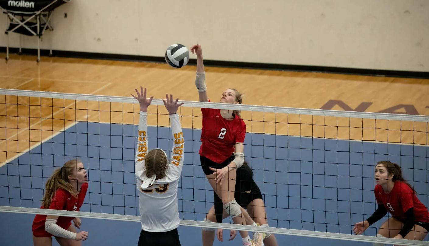 Volleyball Game